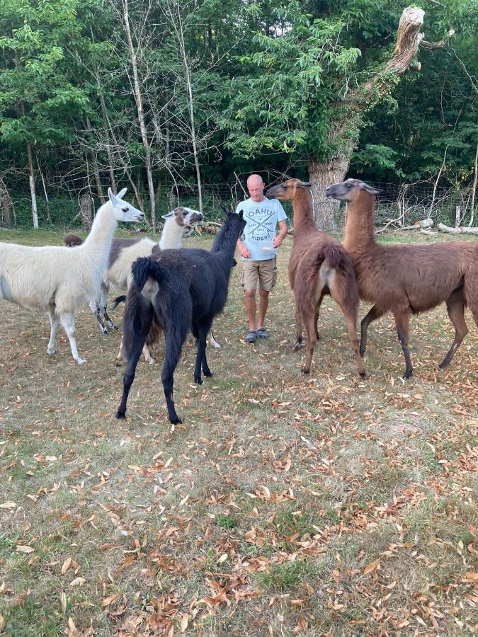 The Llama Farm France Saint-Cyr-Les-Champagnes Exteriér fotografie