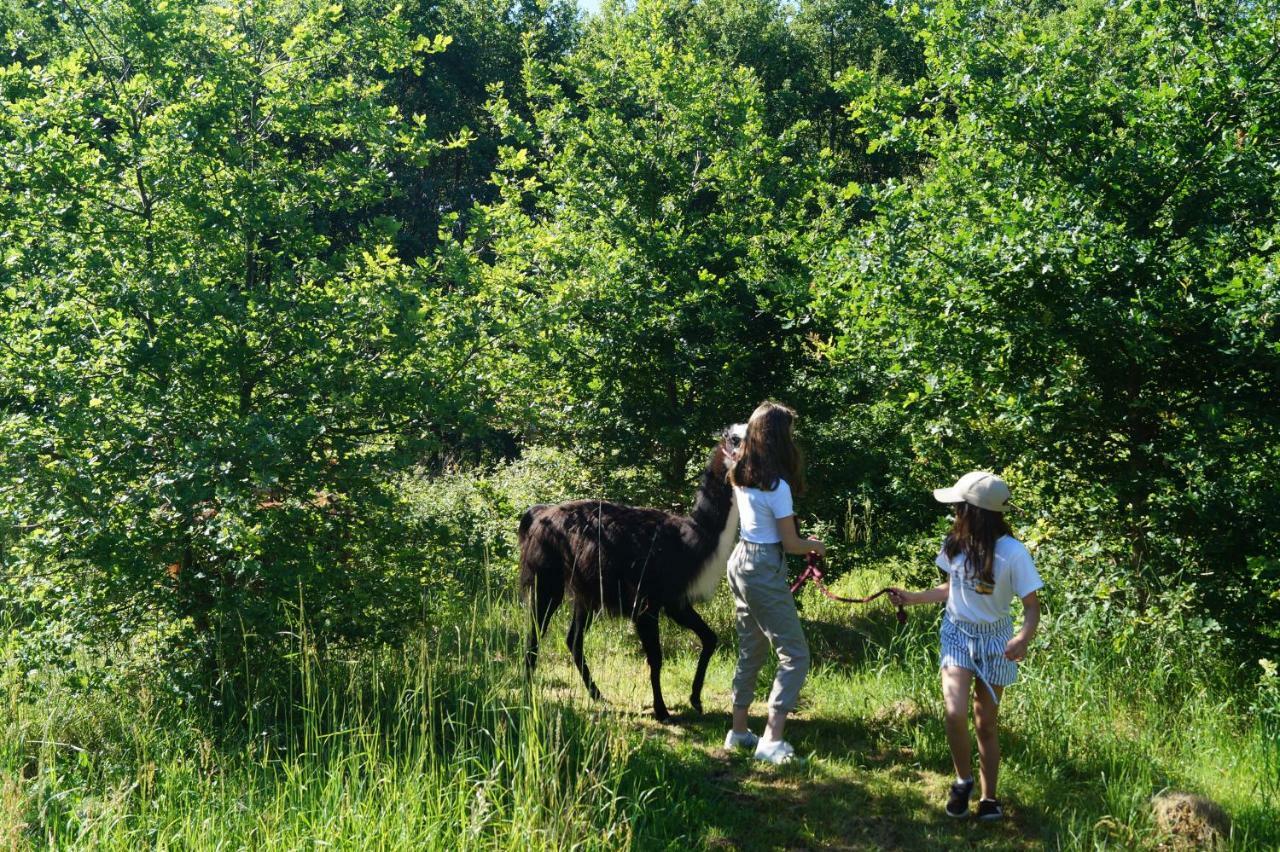 The Llama Farm France Saint-Cyr-Les-Champagnes Exteriér fotografie