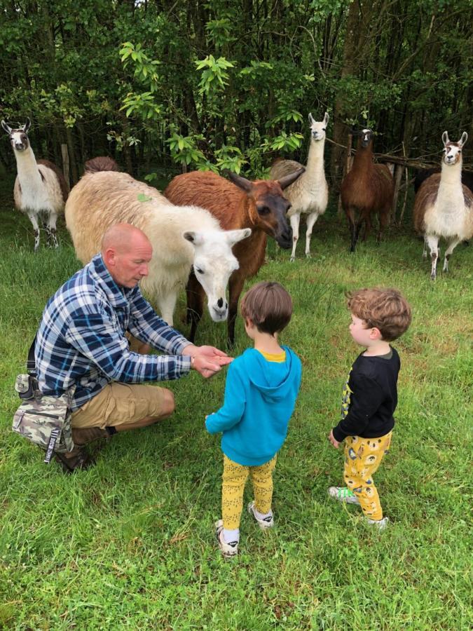 The Llama Farm France Saint-Cyr-Les-Champagnes Exteriér fotografie