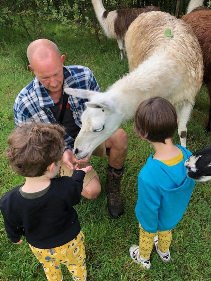 The Llama Farm France Saint-Cyr-Les-Champagnes Exteriér fotografie
